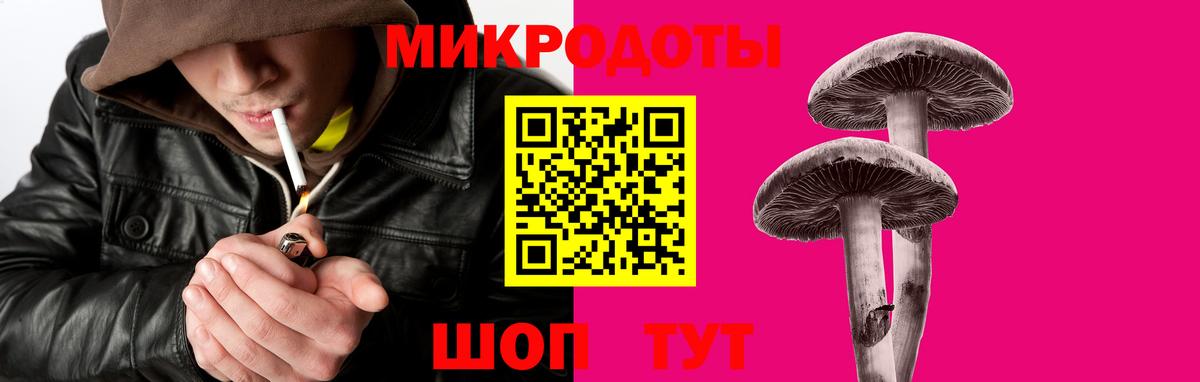 Чита  Галлюциногенные грибы Cubensis  Вход с VPN 